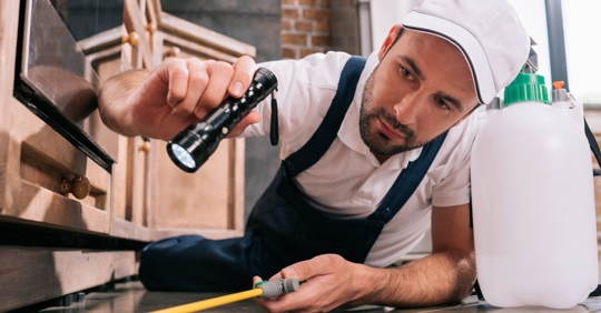 commercial pest control professional