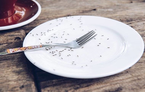 Ants swarming an empty plate with a fork in the middle on a wooden table.